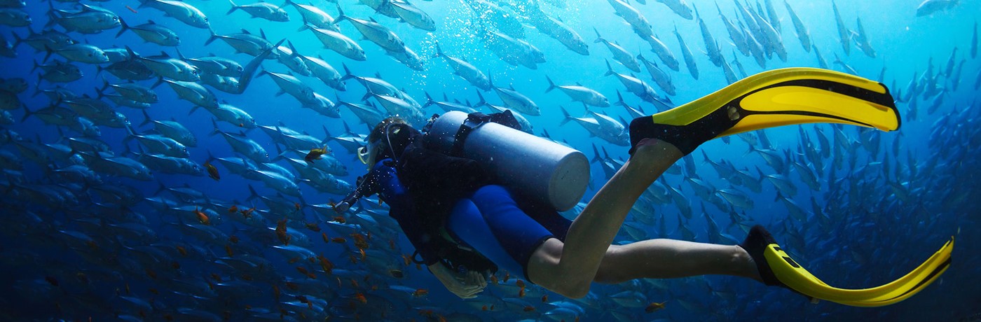  Explore the beauty of Red Sea with us 