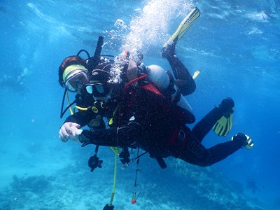 PADI ( Junior ) Advanced Open Water Diver In HUrghada's photo