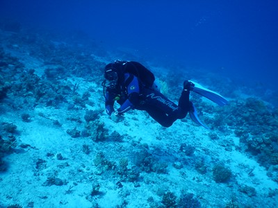 dive master's photo